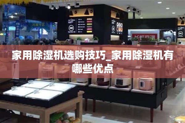 家用除湿机购物技巧_家用除湿机有什么优点？