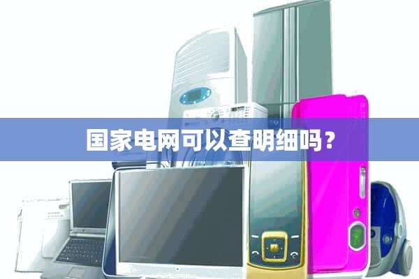国家电网能查到详细情况吗？