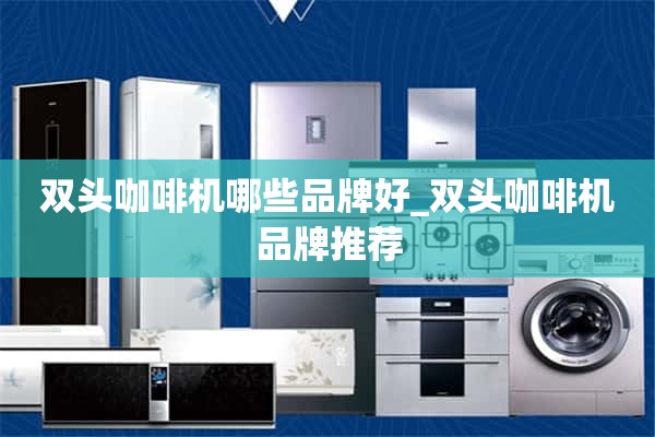 双头咖啡机哪些品牌好_双头咖啡机品牌推荐