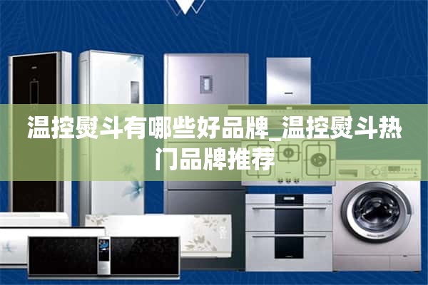 温控熨斗有哪些好品牌_温控熨斗热门品牌推荐