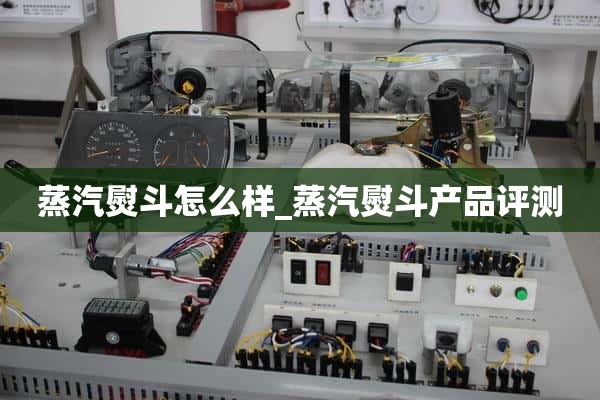蒸汽熨斗_蒸汽熨斗产品评价怎么样