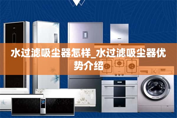 滤水器真空吸尘器怎么样_滤水器真空吸尘器优点介绍