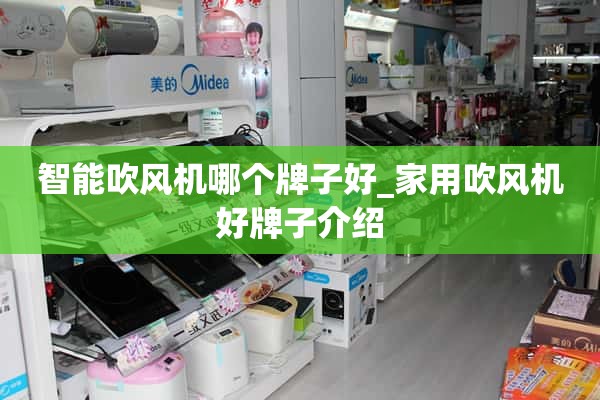 智能吹风机哪个品牌好_家用吹风机好品牌介绍