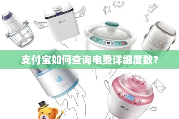 支付宝如何查询电费的详细程度？