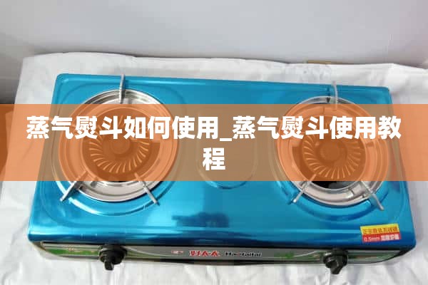 如何使用蒸汽熨斗_蒸汽熨斗使用教程