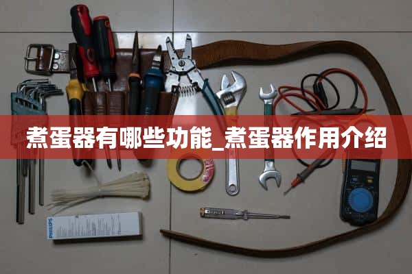 煮蛋器有哪些功能_煮蛋器功能介绍