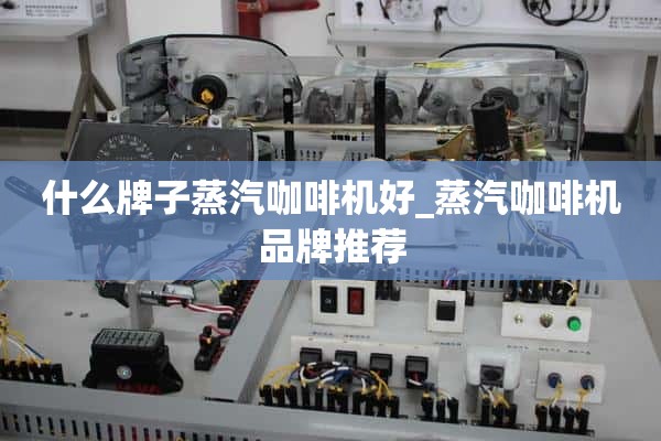 蒸汽咖啡机什么牌子好_蒸汽咖啡机推荐品牌
