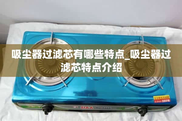 吸尘器过滤网有什么特点_吸尘器过滤网特点介绍