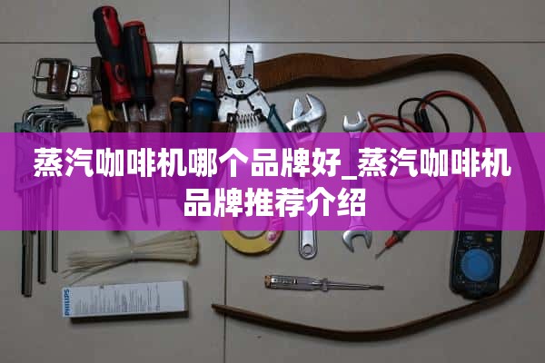 蒸汽咖啡机哪个牌子好_蒸汽咖啡机品牌推荐介绍