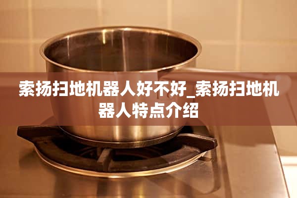 索洋扫地机器人好不好_索洋扫地机器人特点介绍