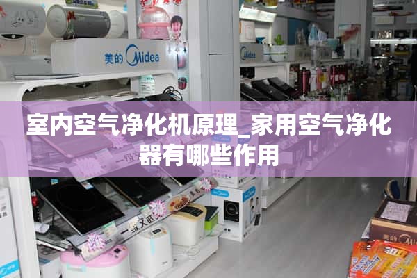 室内空气净化器原理_家用空气净化器有哪些功能？