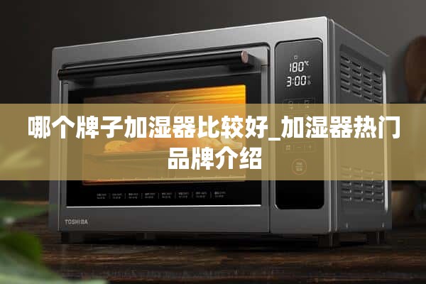 加湿器哪个牌子好_加湿器热门品牌介绍