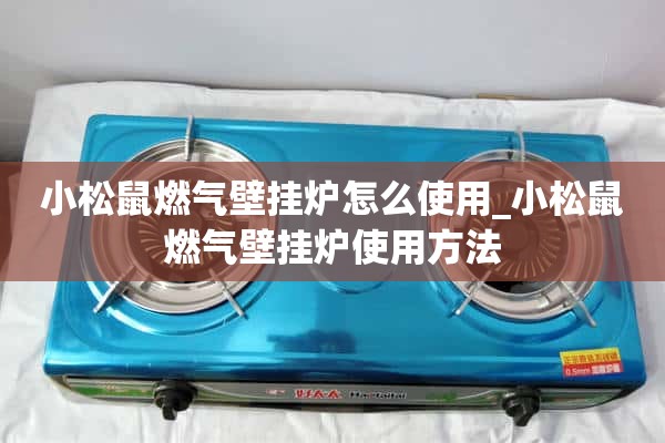 松鼠燃气壁挂炉怎么用_松鼠燃气壁挂炉怎么用