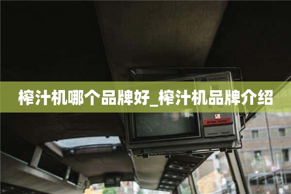榨汁机哪个牌子好_榨汁机品牌介绍