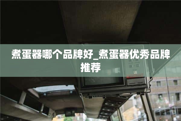 煮蛋器哪个牌子好_煮蛋器优秀品牌推荐