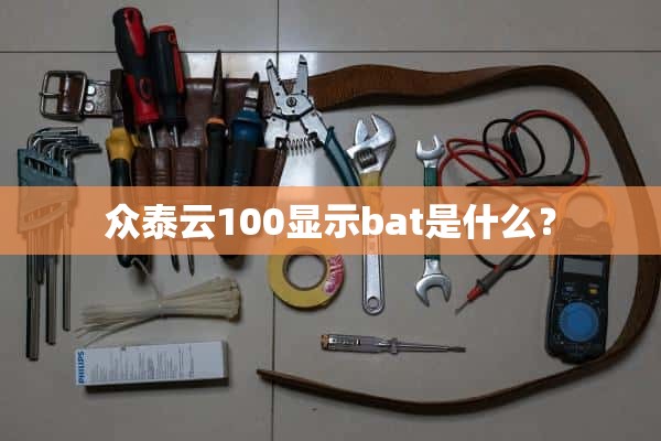 众泰云100说明bat是什么。