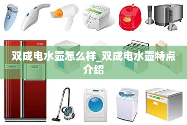 双电热水壶怎么样_双电热水壶特点介绍