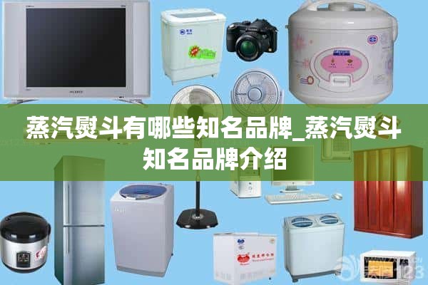 蒸汽熨斗有哪些知名品牌_蒸汽熨斗知名品牌介绍