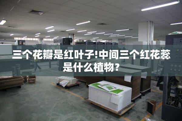 三瓣是红叶！中间的三朵红色花蕊是什么？