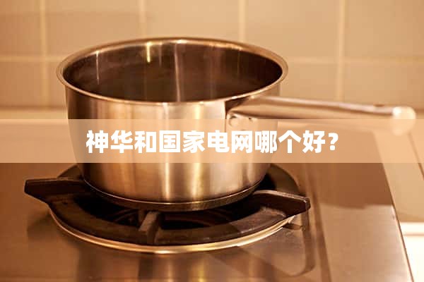申花和国家电网哪个好？
