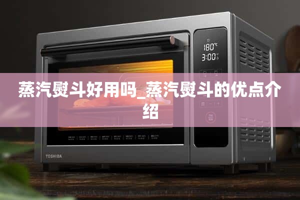 蒸汽熨斗好用吗？_介绍蒸汽熨斗的优点