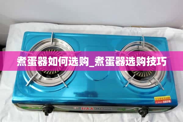 如何选择煮蛋器_选择煮蛋器的小技巧