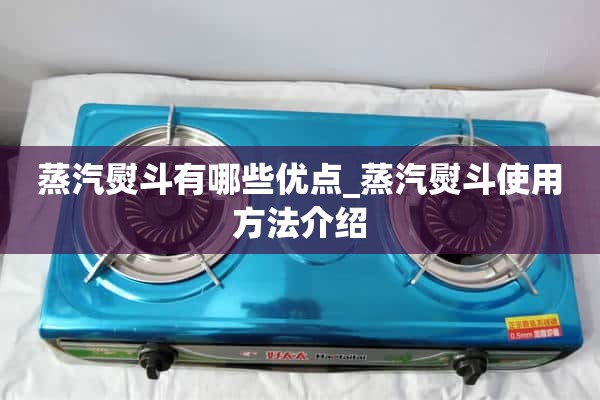 蒸汽熨斗有什么优点_蒸汽熨斗使用介绍