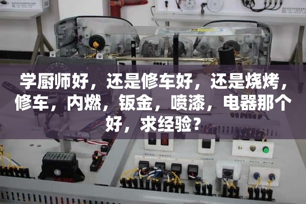 是跟厨师学还是跟修车学，还是跟烧烤、修车、内燃、钣金、喷漆、电器学，求经验？