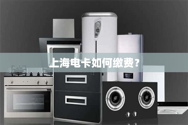 上海电卡怎么支付？