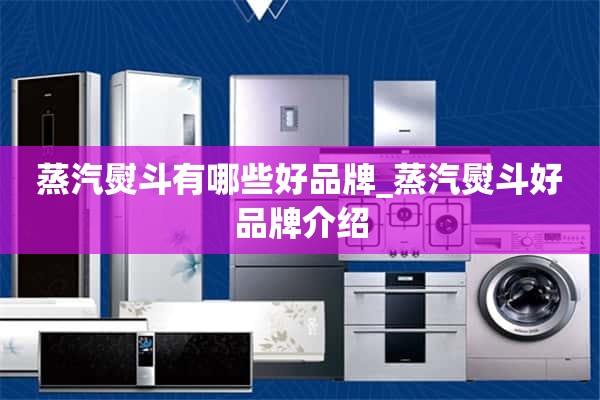 蒸汽熨斗有哪些好品牌_蒸汽熨斗好品牌介绍
