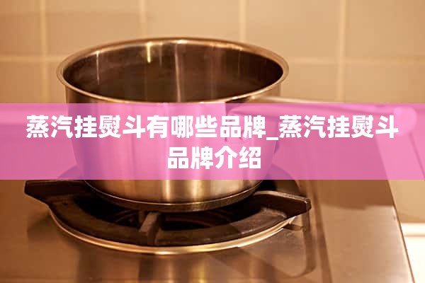 蒸汽挂烫机有哪些品牌_蒸汽挂烫机品牌介绍