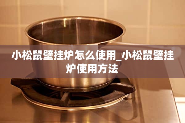 小松鼠壁挂炉怎么用_小松鼠壁挂炉怎么用