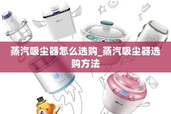 如何选择蒸汽清洁器_如何选择蒸汽清洁器