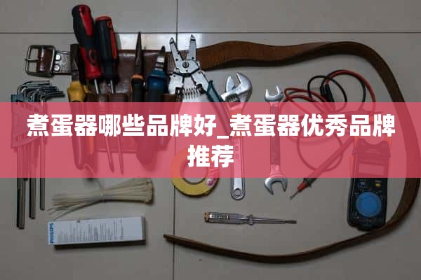 哪些品牌的煮蛋器好_推荐优秀的煮蛋器品牌