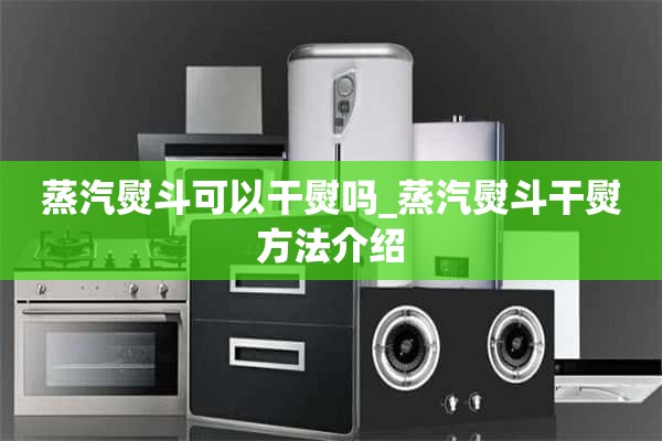 蒸汽熨斗可以干洗吗？_介绍蒸汽熨斗的干熨烫方法