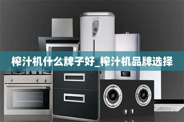 榨汁机什么牌子好_榨汁机的品牌选择