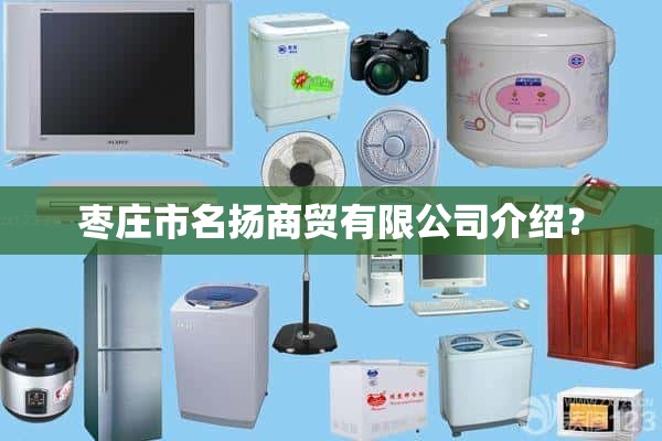 枣庄杨明贸易有限公司介绍？