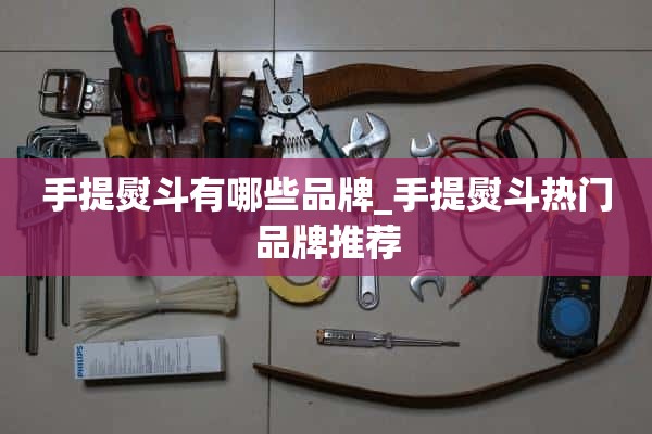 便携熨斗有哪些品牌_热门便携熨斗品牌推荐