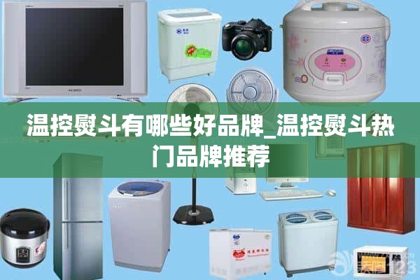 温控熨斗有哪些好品牌_温控熨斗热门品牌推荐
