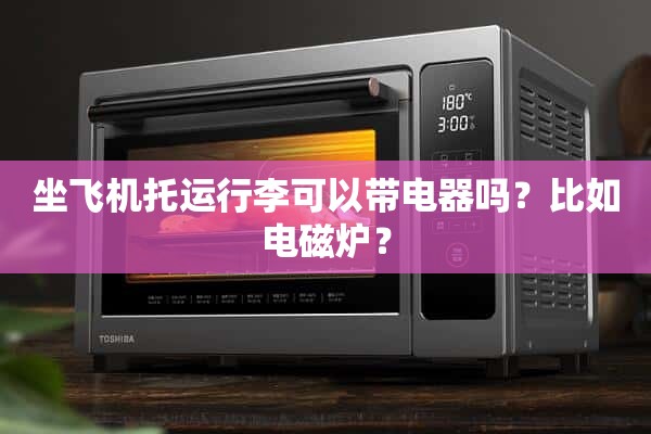 坐飞机托运行李可以带电器吗？比如电磁炉？