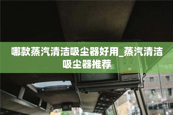 哪个蒸汽清洁器好用_推荐蒸汽清洁器