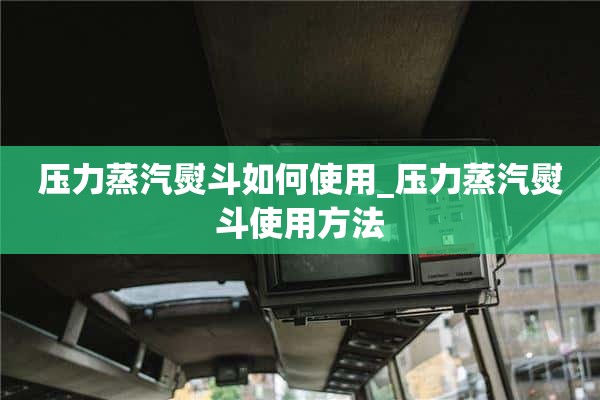 如何使用压力蒸汽熨斗_如何使用压力蒸汽熨斗