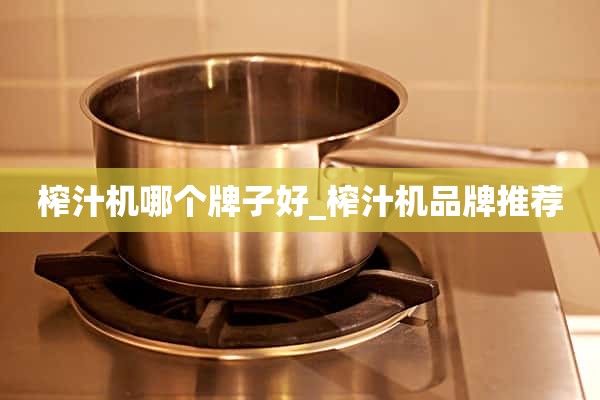 榨汁机哪个牌子好_榨汁机品牌推荐
