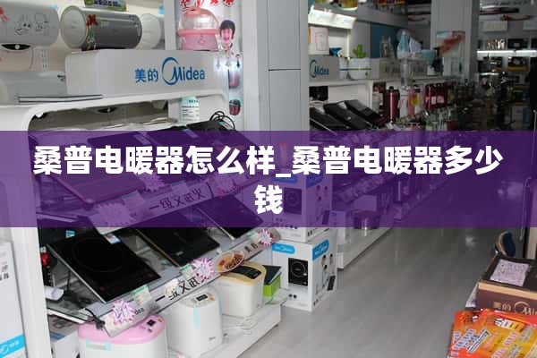 Sampo电暖器怎么样_ Sampo电暖器多少钱？