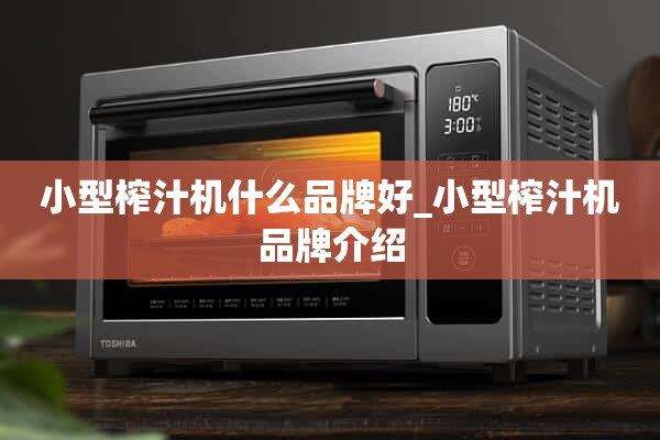 小型榨汁机什么牌子好_小型榨汁机品牌介绍