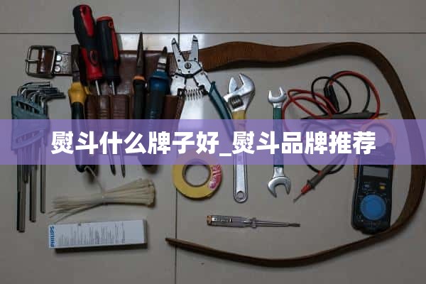 什么牌子的熨斗好_熨斗品牌推荐