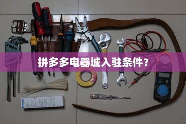 品多多电器城入驻的条件是什么？