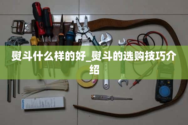 什么样的铁好_铁的选购技巧介绍