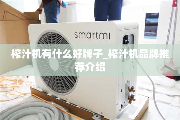 榨汁机什么牌子好_榨汁机品牌推荐