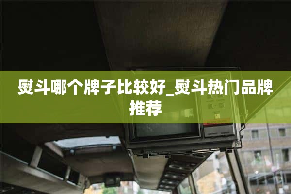 哪个牌子的熨斗比较好_热门熨斗品牌推荐